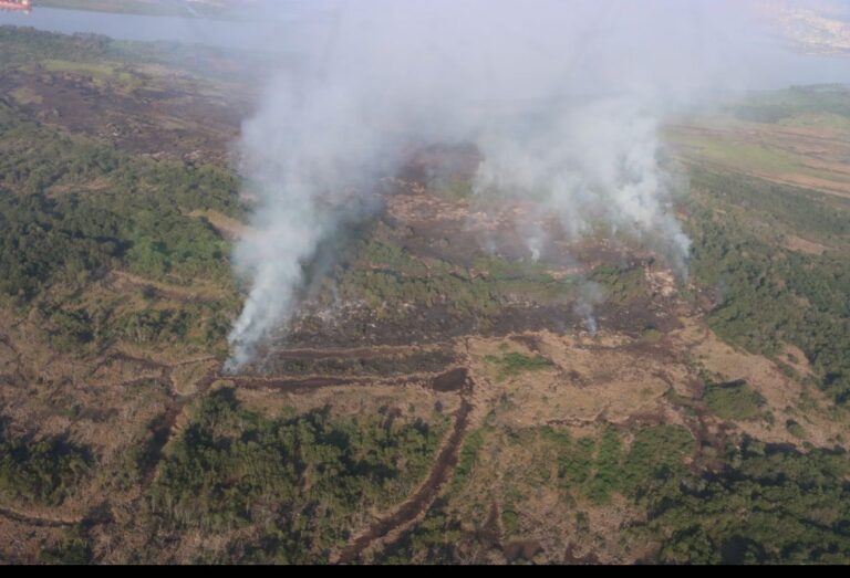 photo_2024-05-01_23-11-24