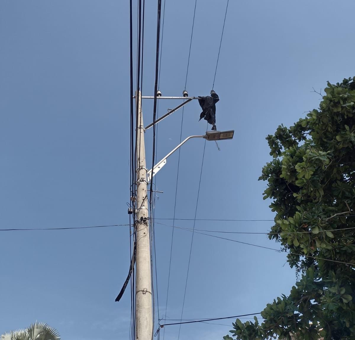 photo_2024-07-29_22-23-53