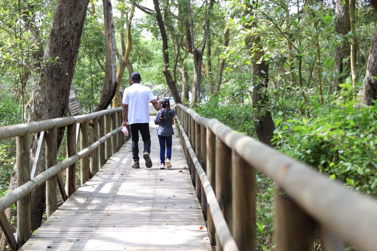 photo_2024-08-19_23-01-09