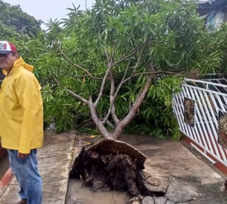 photo_2024-08-27_00-06-10