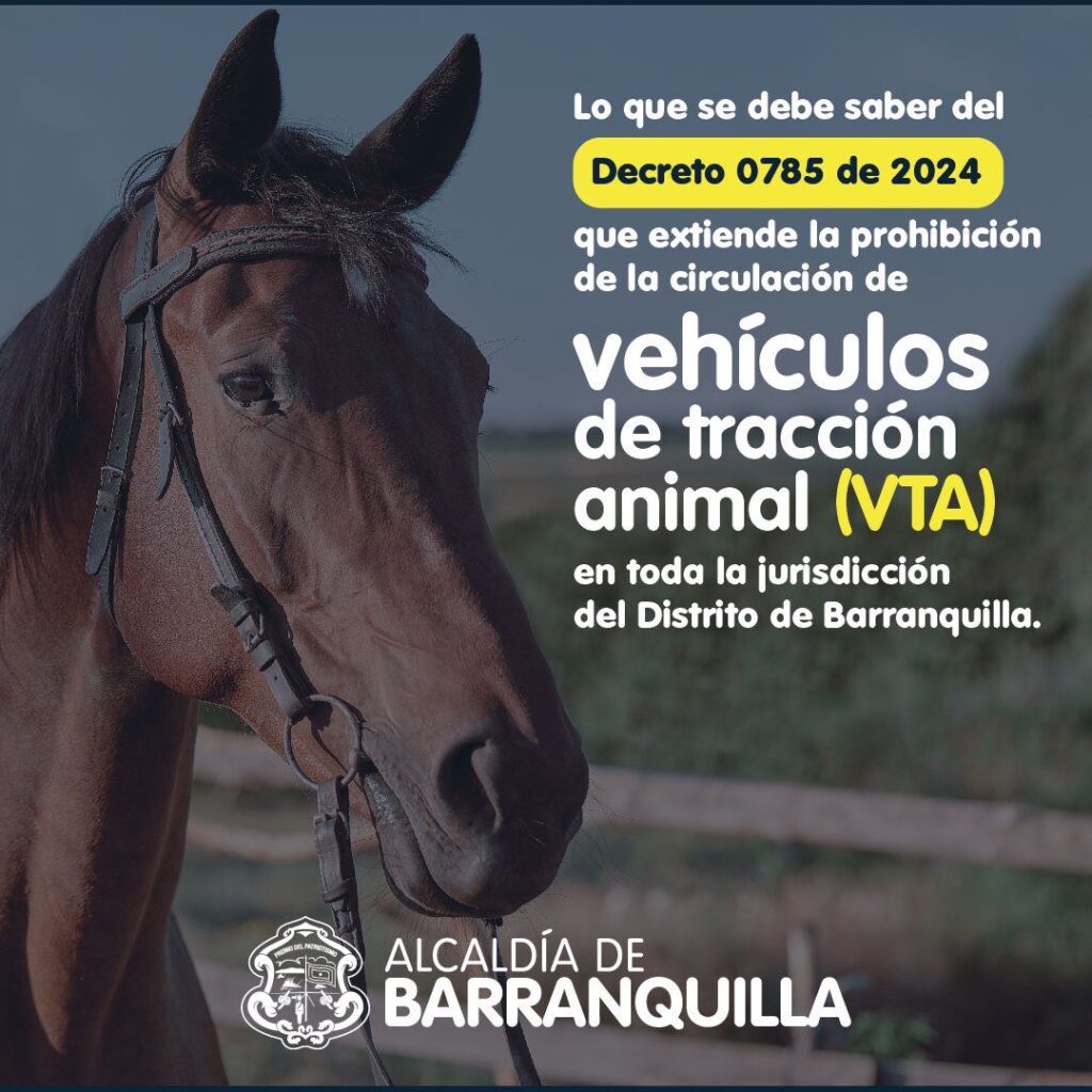 A partir del 16 de enero queda prohibido en Barranquilla la circulación de vehículos de tracción animal