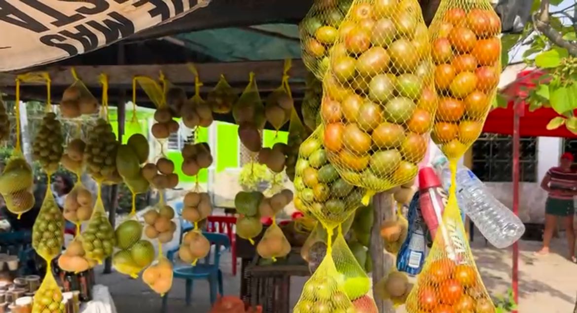 Festival de la ciruela