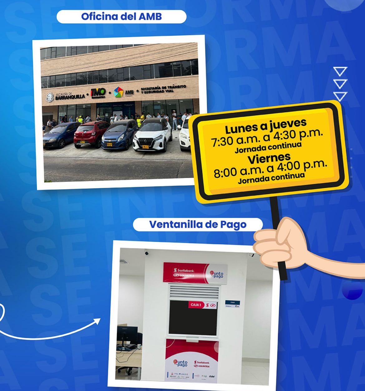 photo_2025-04-08_23-03-00