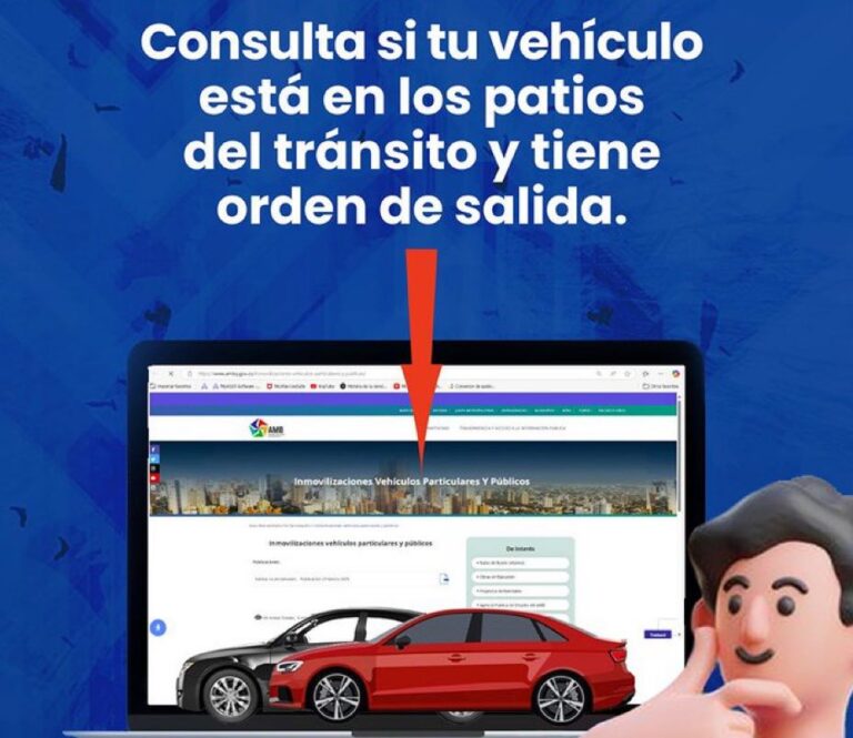 consulta si tu carro fue inmovilizado
