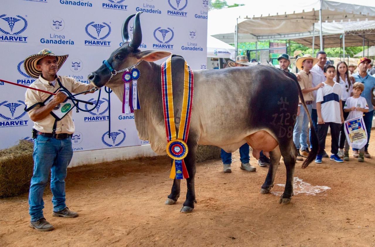 No se pueden perder la feria de la ganadería