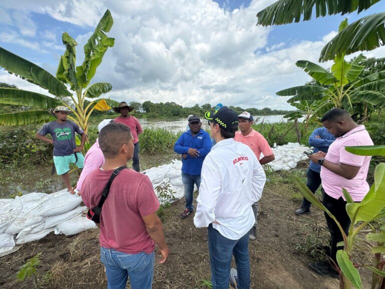 Obers en el canal y Licencias