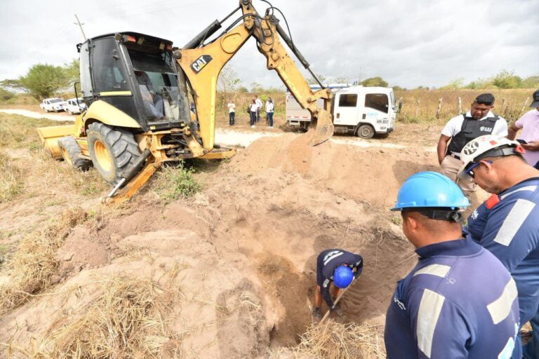 Triple A contra el fraude