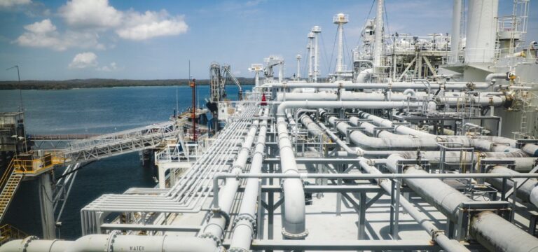 Comite de vigilan cia