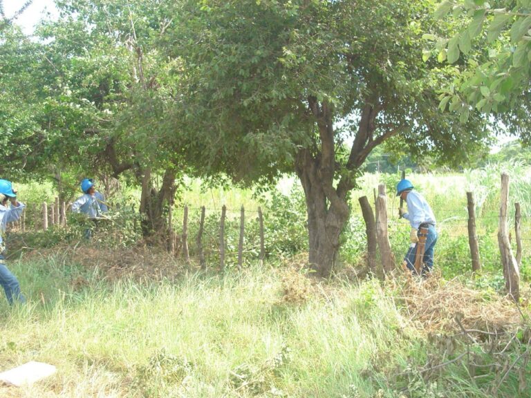 photo_2025-11-26_09-50-36