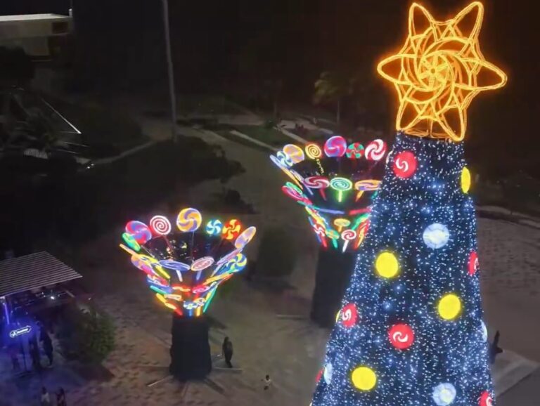 photo_2025-12-05_22-20-19