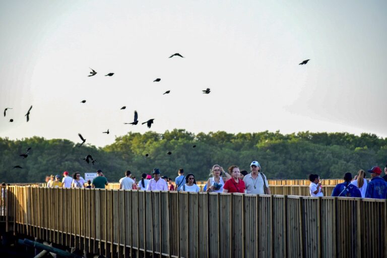 photo_2025-12-27_22-41-34