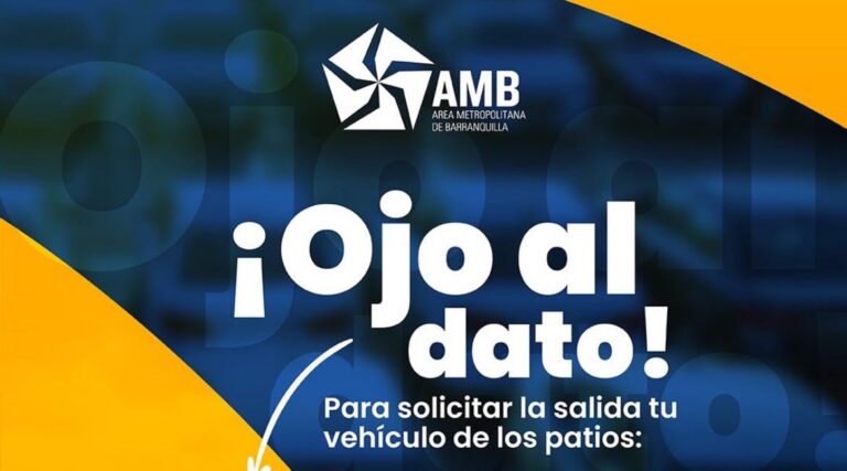 photo_2026-01-27_00-17-05