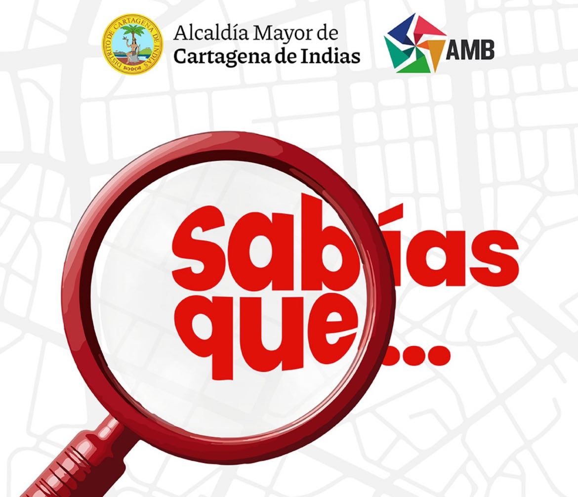 photo_2026-02-04_00-35-18