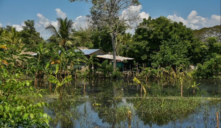 photo_2026-02-12_18-25-14