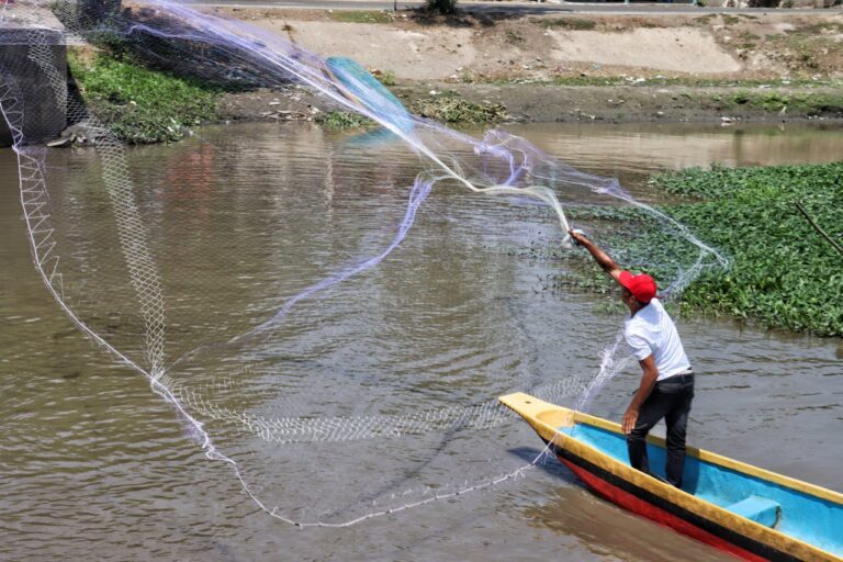 photo_2026-03-01_21-04-30